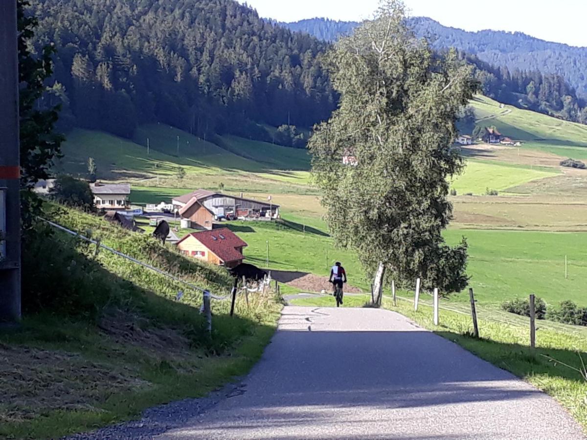 Gaestezimmer Im Dorfzentrum Rothenthurm Eksteriør bilde